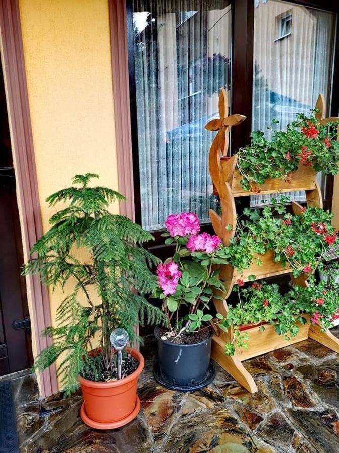 Pensiunea Gianina Arieseni Bagian luar foto