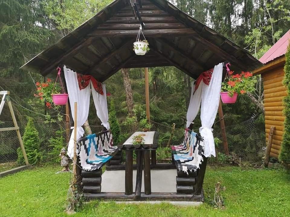Pensiunea Gianina Arieseni Bagian luar foto