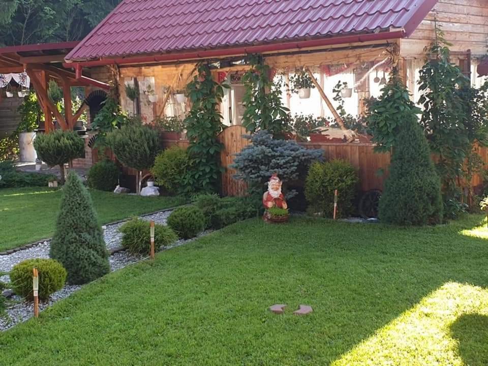 Pensiunea Gianina Arieseni Bagian luar foto