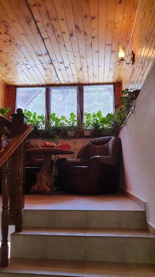Pensiunea Gianina Arieseni Bagian luar foto