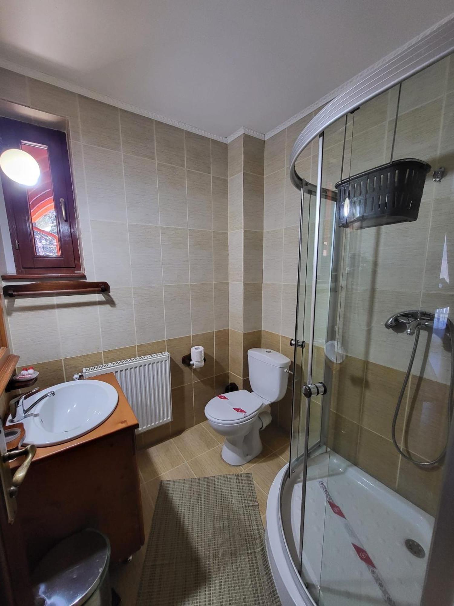 Pensiunea Gianina Arieseni Bagian luar foto